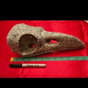 4+Pound Massive Collector Crystal Kiwi Jasper Raven Skull 298mm *Sold*